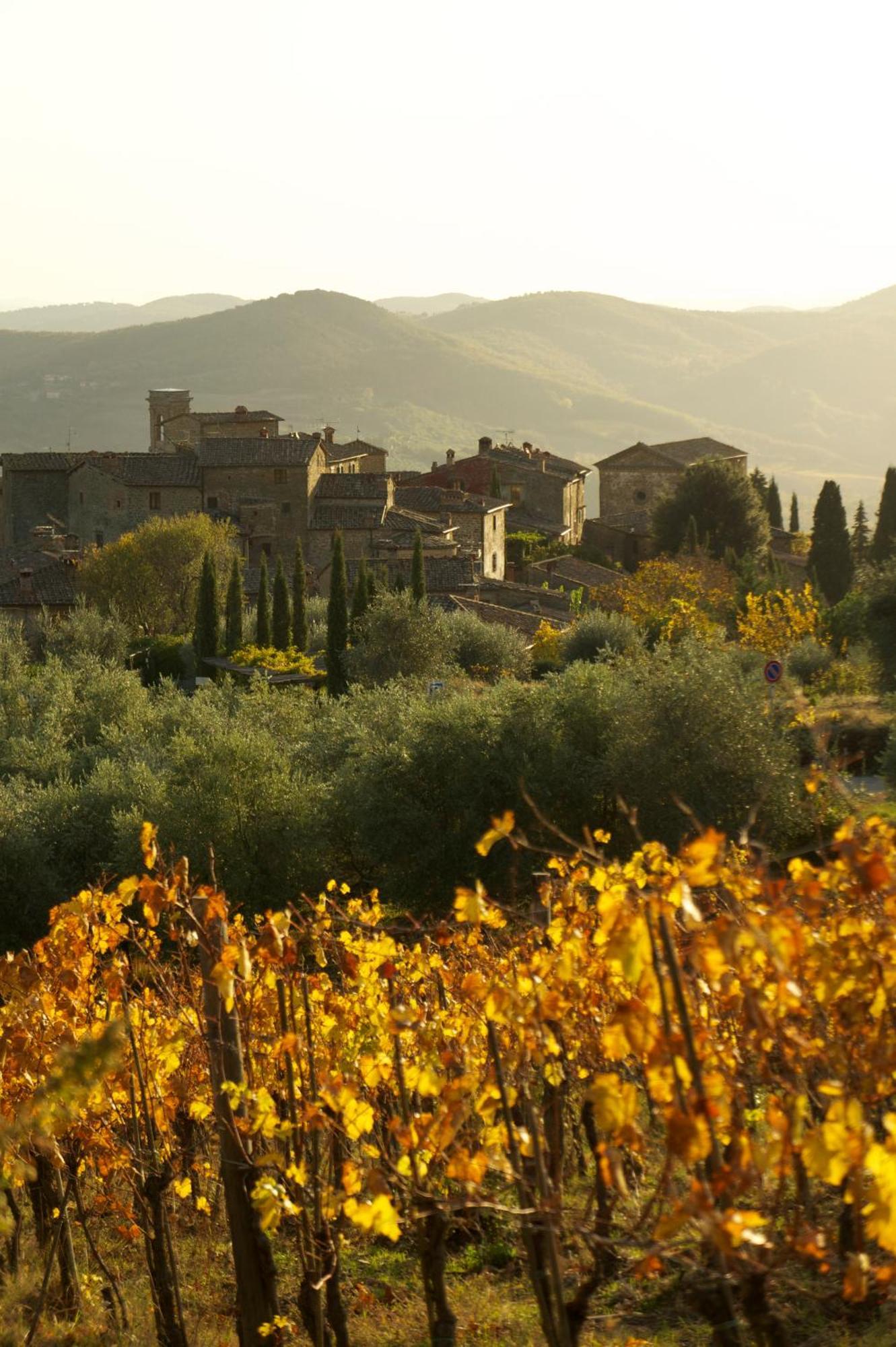 Casa rural Castello Di Volpaia