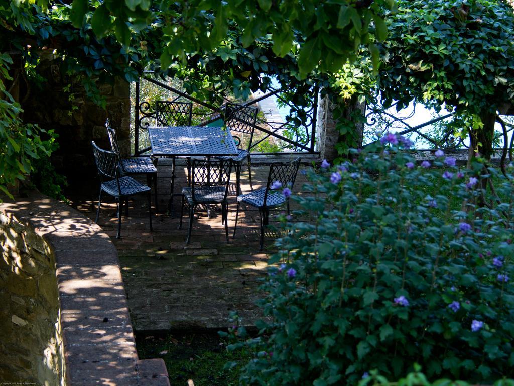 Casa rural Castello Di Volpaia