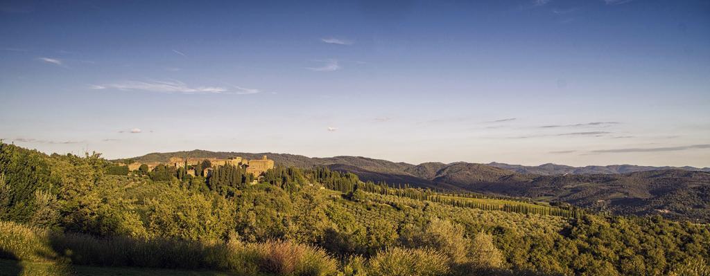 Castello Di Volpaia * Radda in Chianti